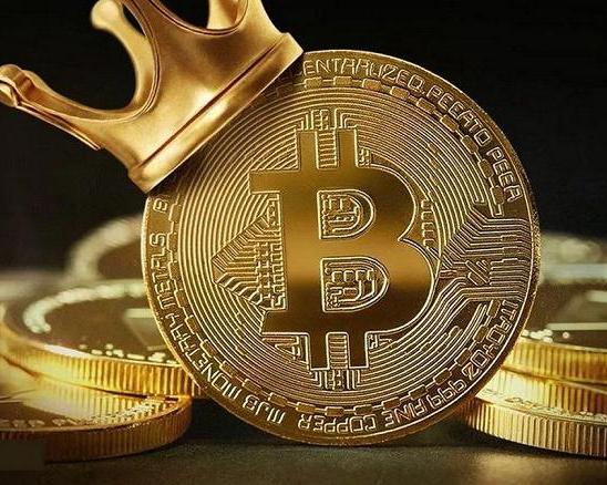 Мать выбросила ноутбук сына с 10.000 bitcoin