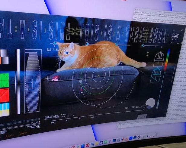 Видео с котом из космоса: как ученые NASA продемонстрировали новую технологию лазерной связи