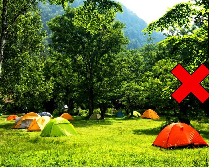 Почему в Германии нельзя ставить палатку в лесу
