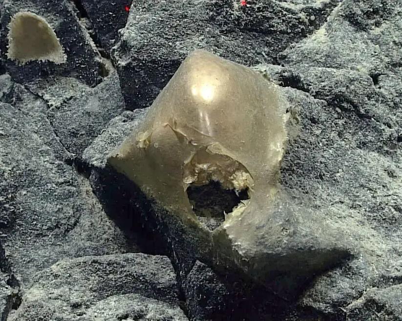 Ученые нашли загадочный шар во время исследования морского дна Аляски