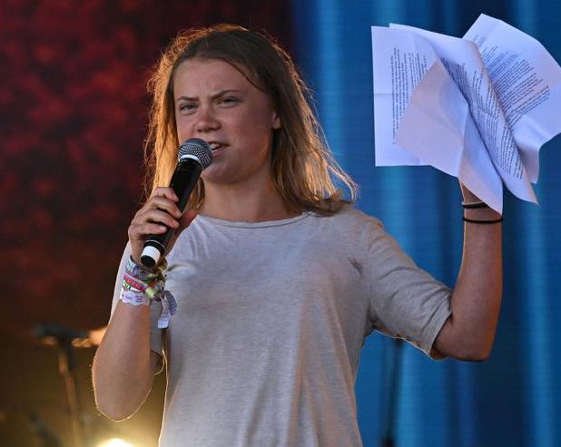Грета Тунберг получила штраф за свои выступления. Девушка нарушила ряд законов во время акции
